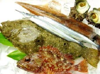 鮮魚セット用画像2