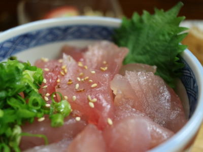 ビンナガマグロの丼