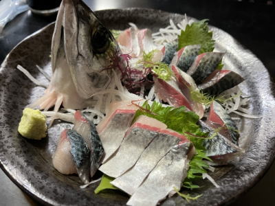 ゴマサバの刺身