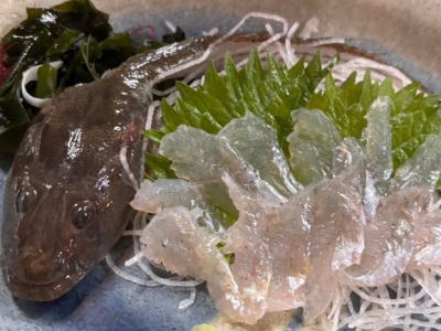 ハゼクチの姿造り