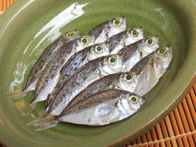 ヒイラギの丸干し