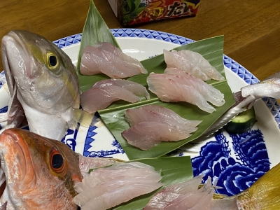 ヒレナガカンパチ刺身