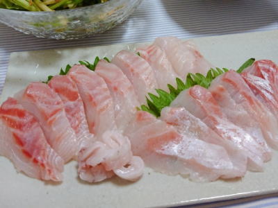 イシダイ刺身