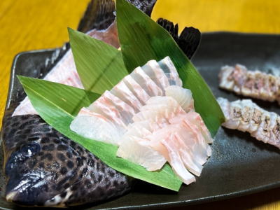 イシガキダイの姿造り