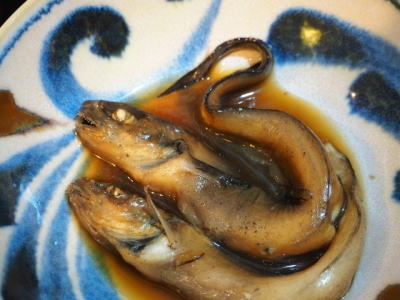 ノロゲンゲ煮付け