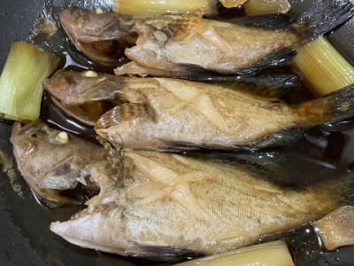 オオモンハタの煮付け