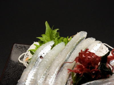 サヨリの刺身