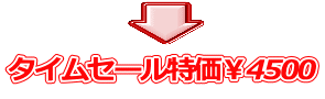 特価¥4500