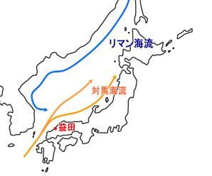 日本海の海流略図