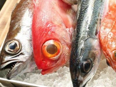 土佐清水鮮魚セット例1