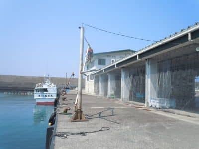 室戸岬漁港1