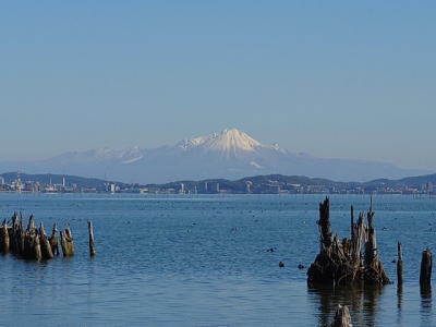 宍道湖と大山