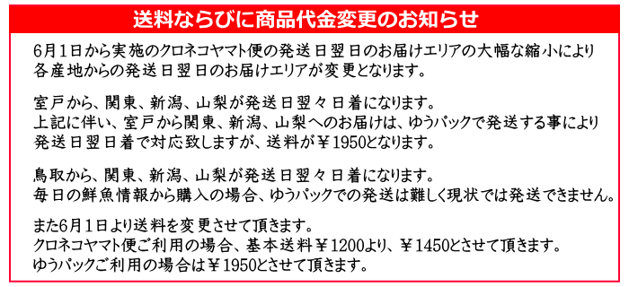 お知らせ