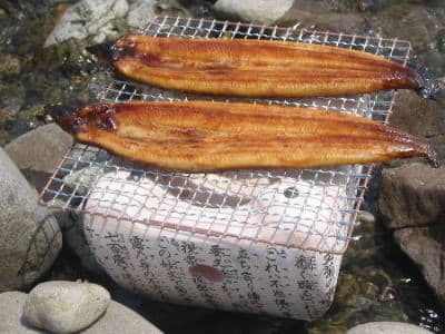鰻の蒲焼