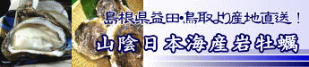 日本海山陰産岩ガキ