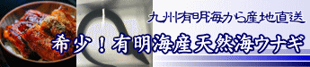 有明海産天然海ウナギ