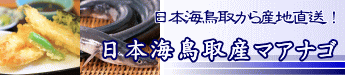 鳥取産マアナゴ