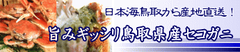 鳥取産セコガニ