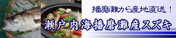 播磨灘産スズキ
