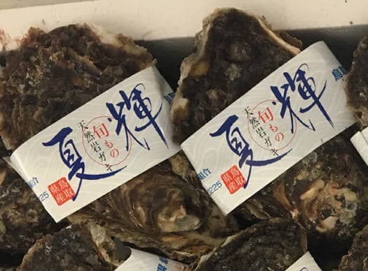 夏輝ラベル付 鳥取産岩ガキ の産直販売 鮮魚の産直通販 のん気な魚屋