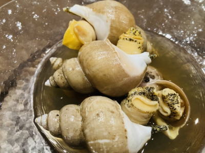 エッチュウバイの酒蒸し