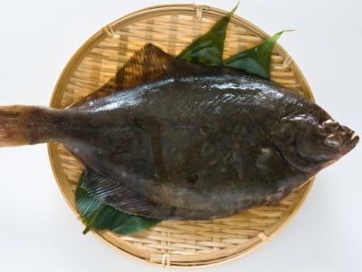 マガレイ1