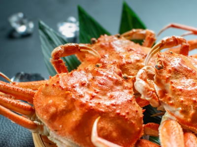 ボイルセコガニ1